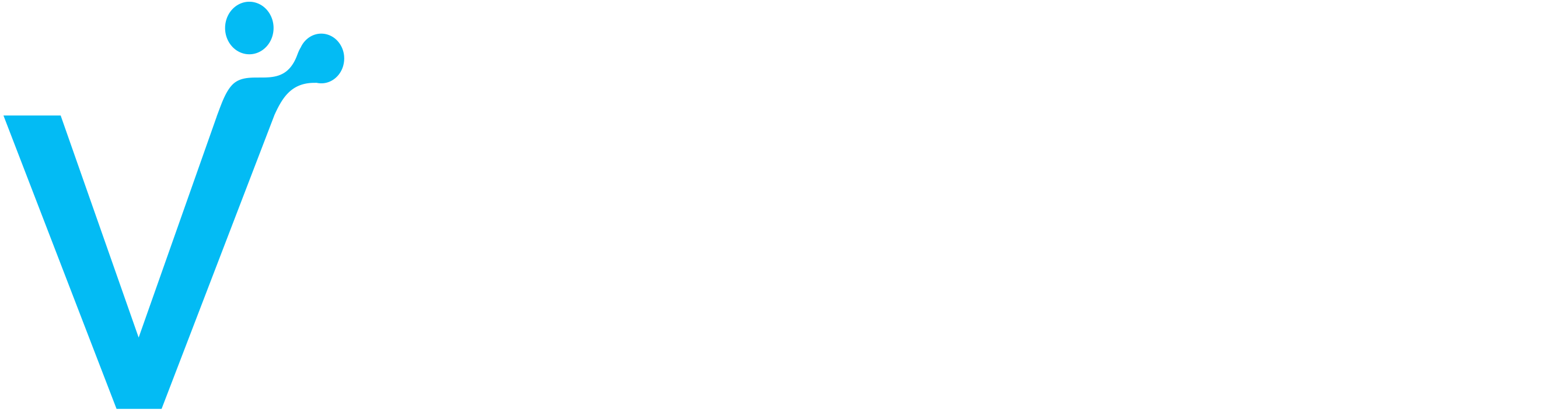 VirShore-Light-no-tagline-RGB